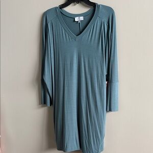 NWT Ten Tomorrow  Lynette Dolman Sleeve Dress in Stone Green Size L